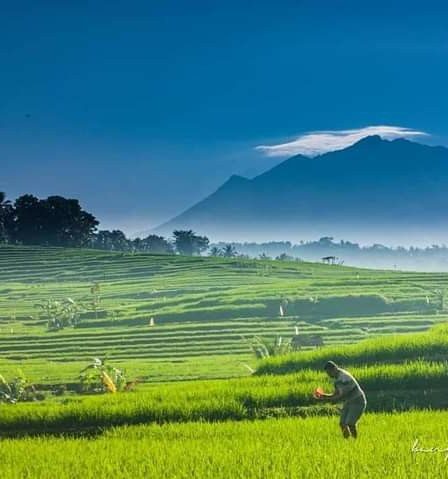 Tempat Wisata Alam Pegunungan Terbaik di Jawa Tengah